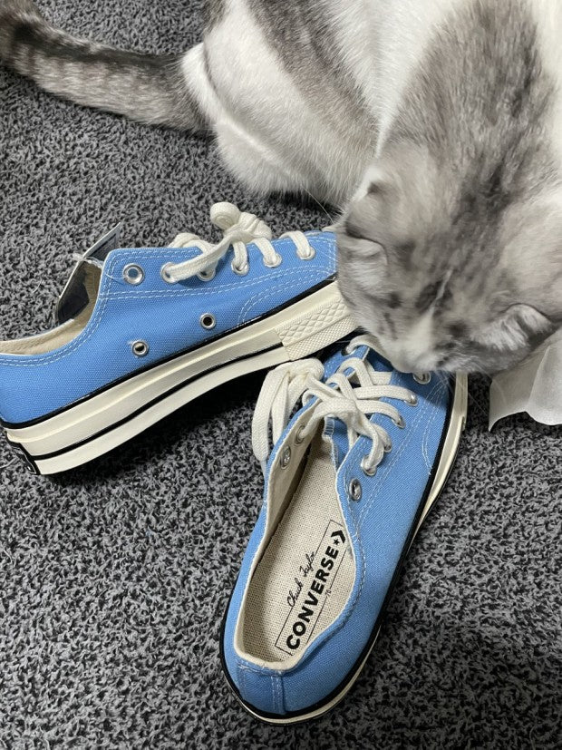 【23cm】CT70 UNIVERSITY BLUE LOW CUT 171569C