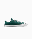 ALL STAR Chuck Taylor Darkly Jaded LOW CUT A14609C