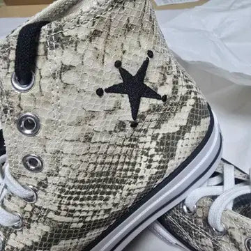 CT70 STUSSY ステューシー Leather（レザー） Snakeskin HI CUT A11674C