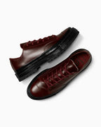 CT70 NATIONAL Leather（レザー） Rottin Apple LOW CUT A15677C