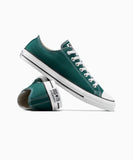 ALL STAR Chuck Taylor Darkly Jaded LOW CUT A14609C