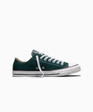 ALL STAR Chuck Taylor Steely Pine LOW CUT A18101C snms.shop
