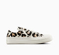 【EU限定】CT70 Leopard LOW CUT A14946C