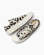 【EU限定】CT70 Leopard LOW CUT A14946C