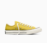 CT70 Bright Outlook LOW CUT A16809C