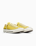 CT70 Bright Outlook LOW CUT A16809C