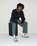 ALL STAR Chuck Taylor Color Pop Grey Area LOW CUT A17539C