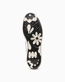 CT70 Day Of The Dead HI CUT A17961C snms.shop