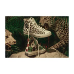CT70 X Brain Dead Egret White HI CUT A12219C