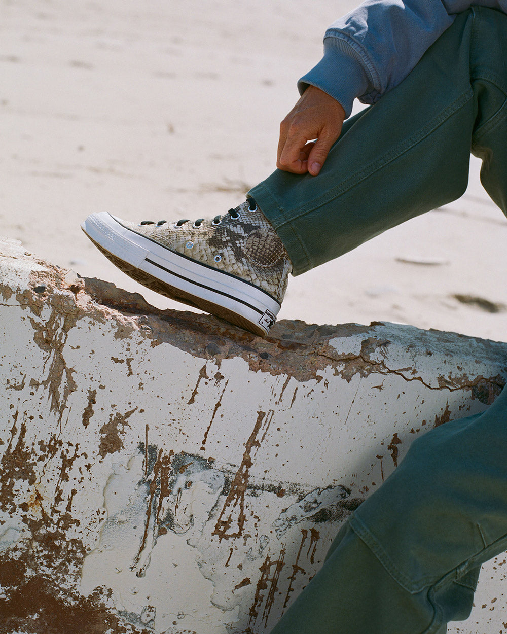 CT70 STUSSY ステューシー Leather（レザー） Snakeskin HI CUT A11674C