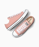 ALL STAR Chuck Taylor Canyon Clay LOW CUT A11173C