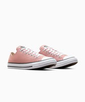 ALL STAR Chuck Taylor Canyon Clay LOW CUT A11173C