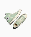 CT70 Thyme Again HI CUT A15971C