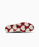 ALL STAR Chuck Taylor Hearts Days Ahead LOW CUT A19057C