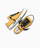 ALL STAR Chuck Taylor Throwback GOLD PALM LOW CUT A18844C