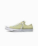 ALL STAR Chuck Taylor Festival Field LOW CUT A16812C