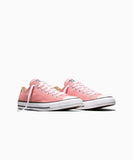 ALL STAR Chuck Taylor Canvas Ok Bloomer LOW CUT A18100C