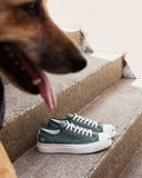 Jack Purcell PDM X Palmes Parisian Night LOW CUT A24786C snms.shop