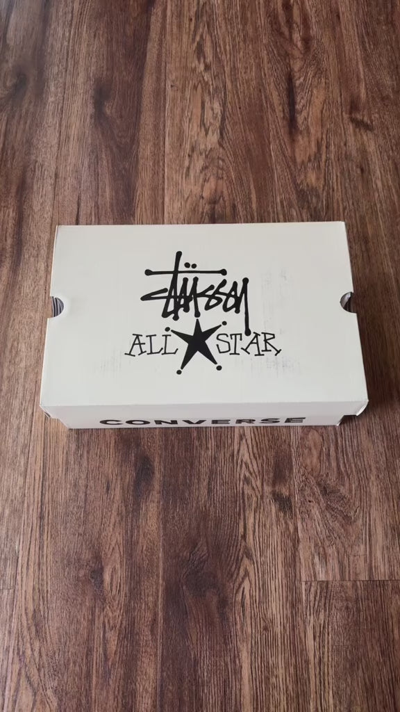 CT70 STUSSY ステューシー Leather（レザー） Snakeskin HI CUT A11674C