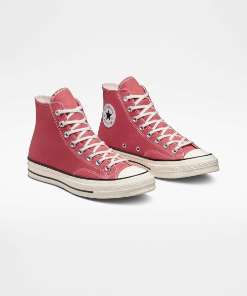 CT70 Rhubarb Pie HI CUT A05114C